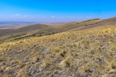 Similar image 22348849