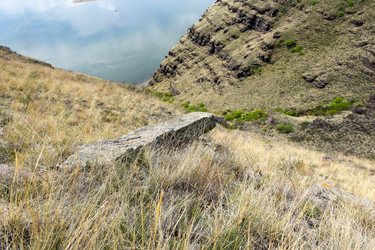 Similar image 22348855