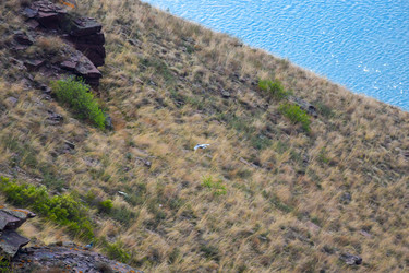 Similar image 22348859