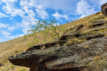 Similar image 22348865