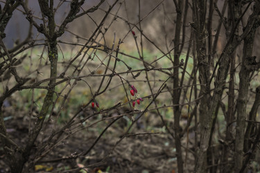 Similar image 22355243