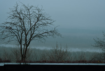 Similar image 22348596