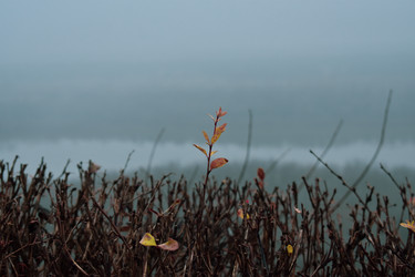 Similar image 22348598