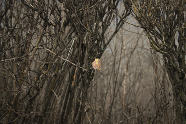 Similar image 22348600