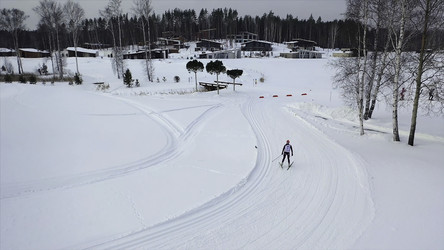 Similar image 22369005