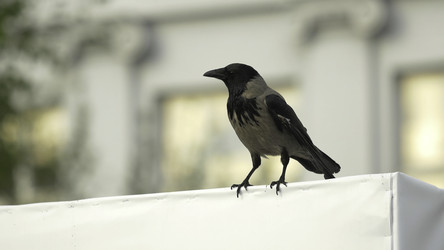 Similar image 22369022