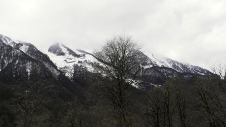 Similar image 22369683