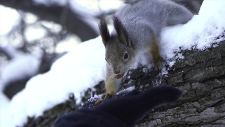 Similar image 22369832