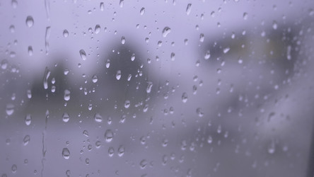 Similar image 22369849