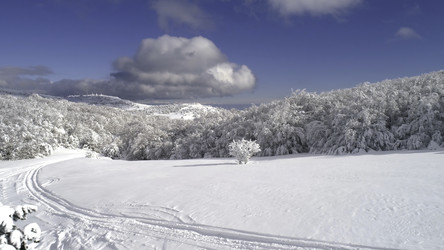 Similar image 22368096