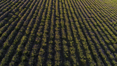 Similar image 22363426