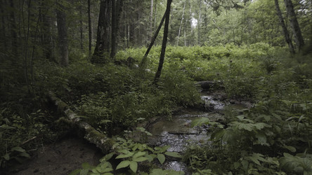 Similar image 22367665