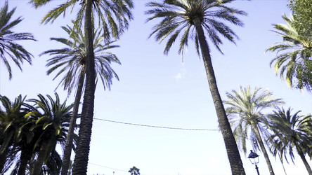 Similar image 22368842