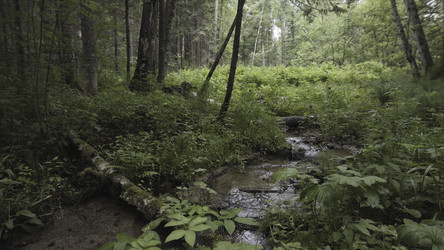 Similar image 22368963