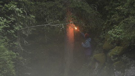 Similar image 22369038