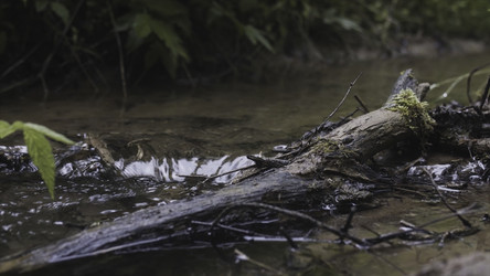 Similar image 22369850