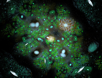 Similar image 22351849