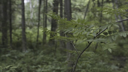 Similar image 22368871