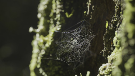 Similar image 22368964