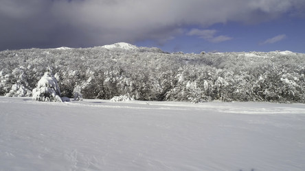 Similar image 22369053