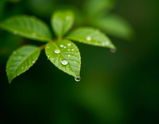 Similar image 22390907