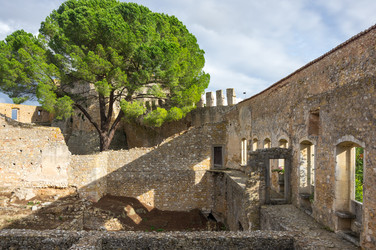 Similar image 22372676