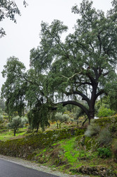 Similar image 22372690