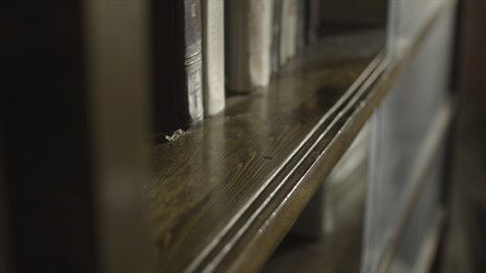 Similar image 22350894