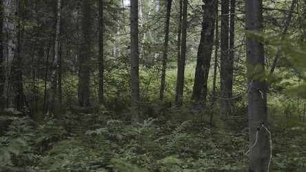 Similar image 22360142