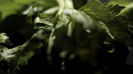 Similar image 22363384