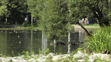 Similar image 22363546