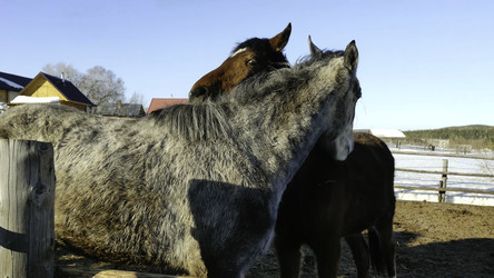 Similar image 22367291