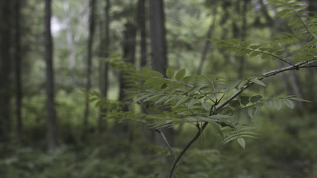 Similar image 22367666