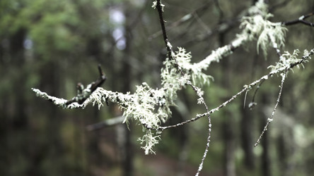 Similar image 22367709