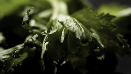 Similar image 22367754