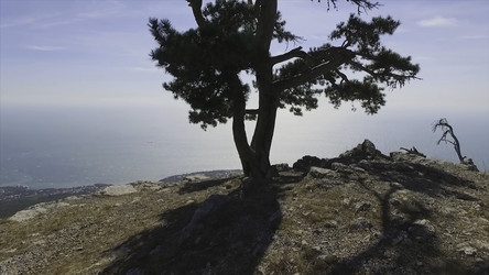 Similar image 22368125