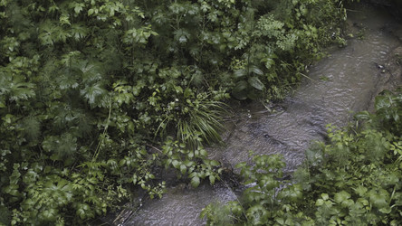 Similar image 22368258