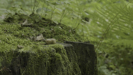 Similar image 22368273