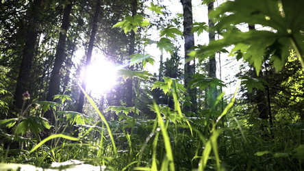 Similar image 22368347