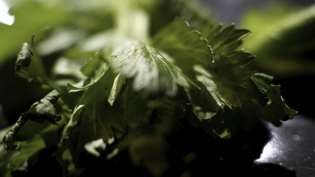 Similar image 22368392