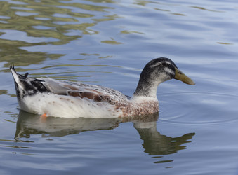 Similar image 22348461