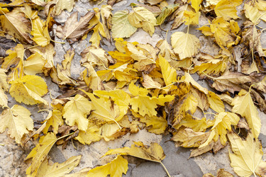 Similar image 22348464