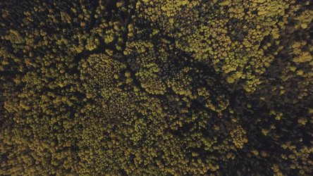 Similar image 22370277