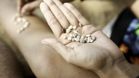 Similar image 22370307