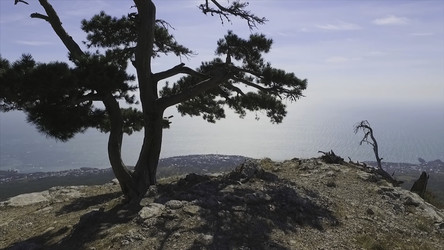 Similar image 22370397