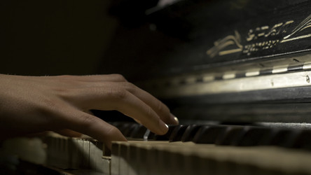 Similar image 22370559