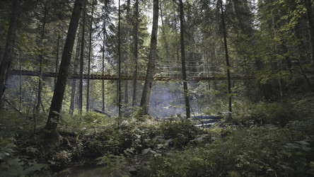 Similar image 22370662