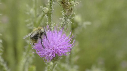 Similar image 22350895