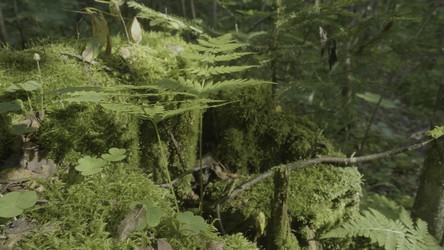 Similar image 22351517