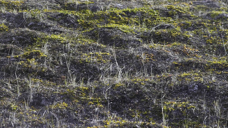 Similar image 22360162